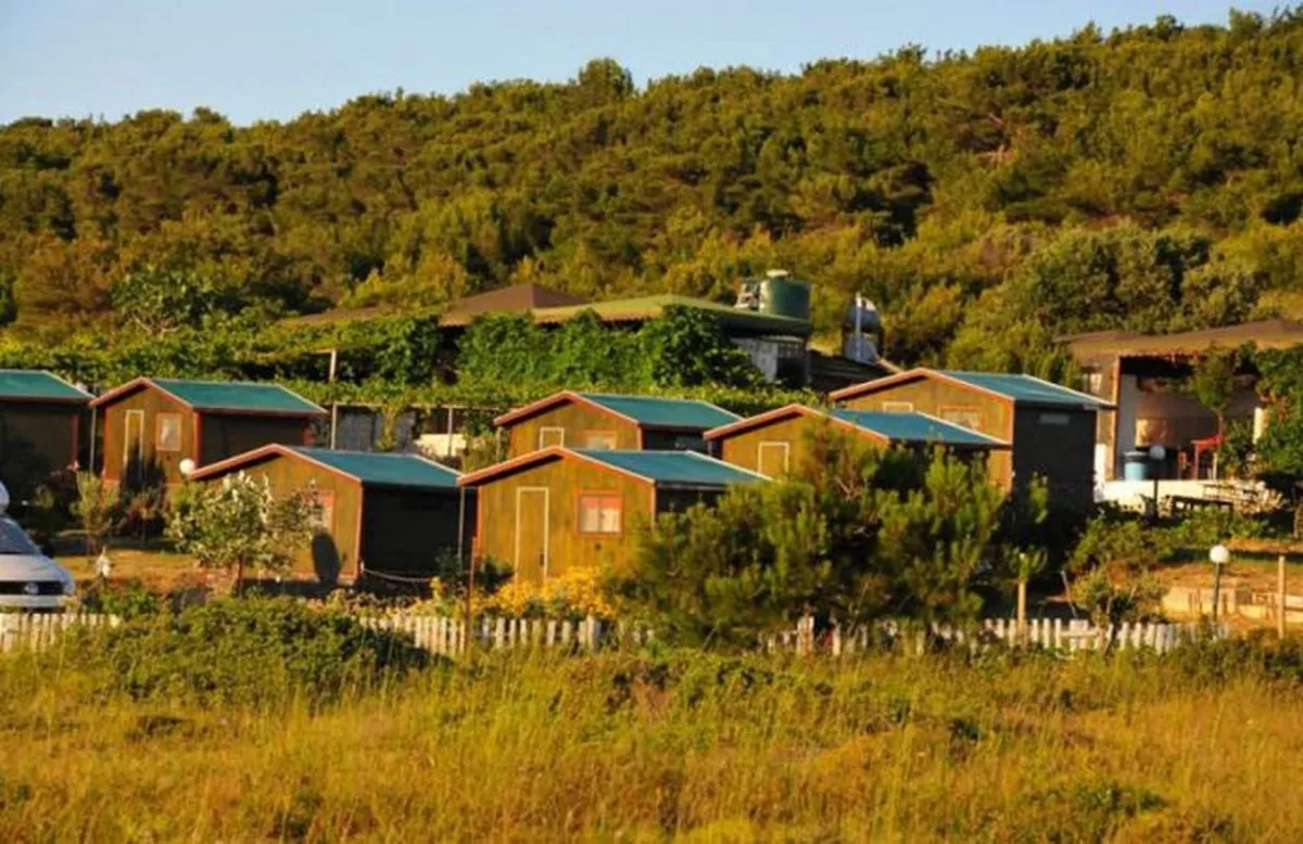 Ayılar Piknik Ve Kamp Alanı
