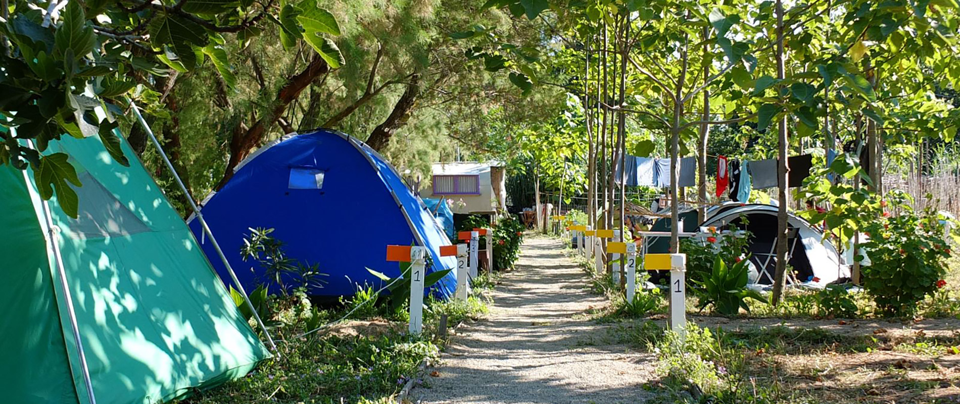 The Camp Bodrum