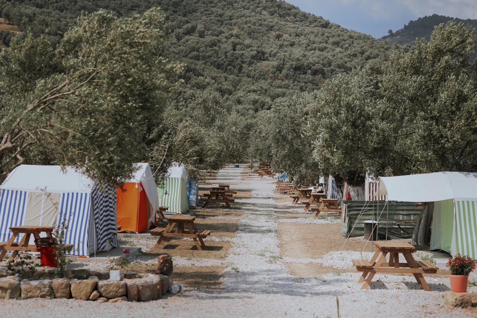 Zeus Koyu Kamp Alanı