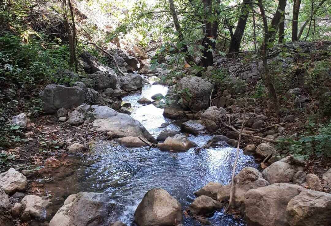 Akdağ Yaylası Kamp Alanı