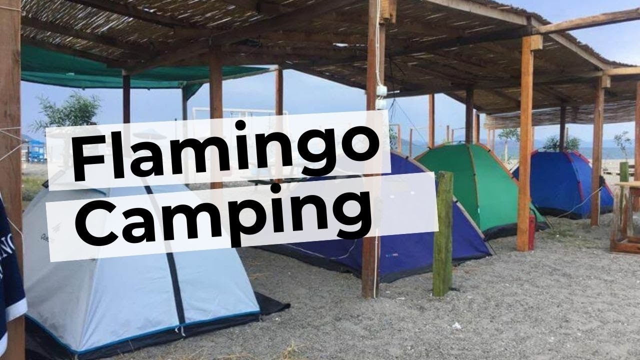Flamingo Camping