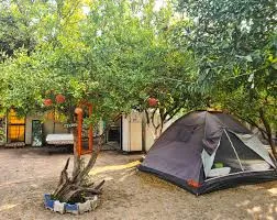 Adrasan Gonca Camping