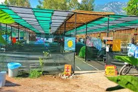 Adrasan Langır Lingir Camping Cafe