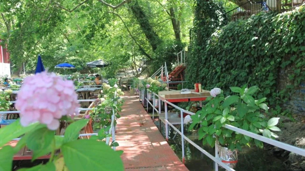 Asırlık Ağaçların Gölgesinde Dinlenme Keyfi