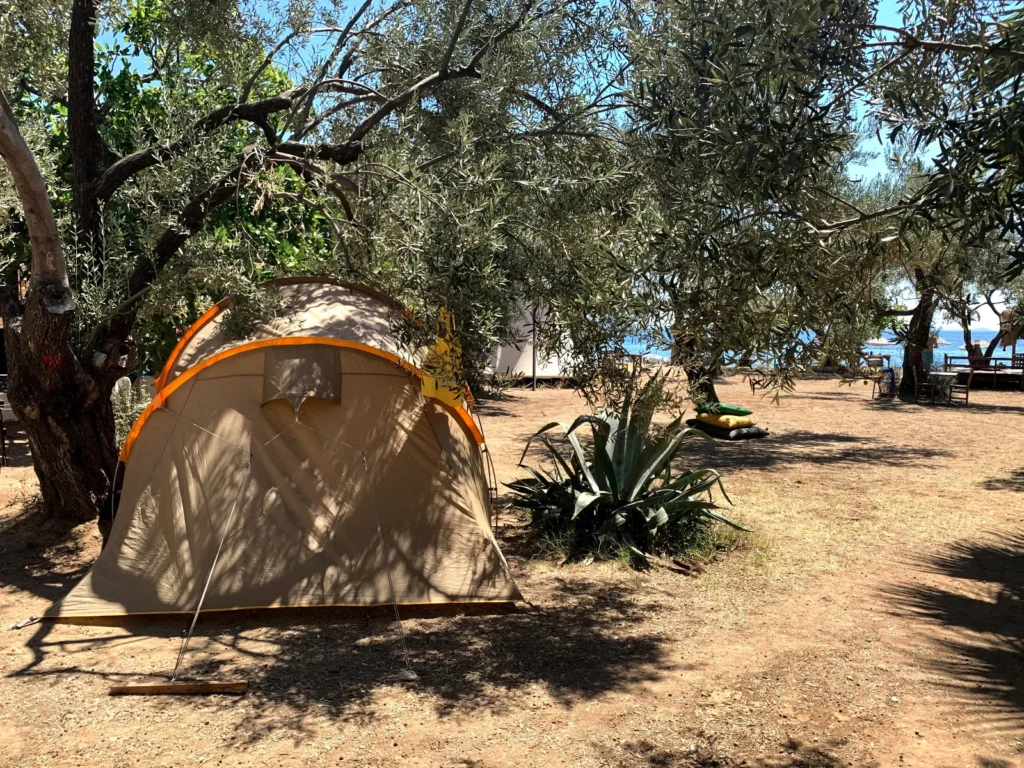 Assos Muna Kamp