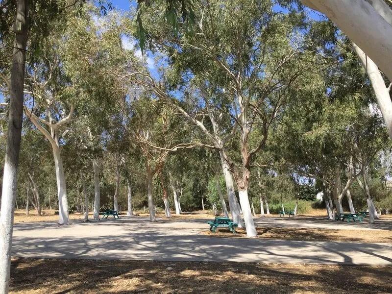 Atakent Kamp Alanı