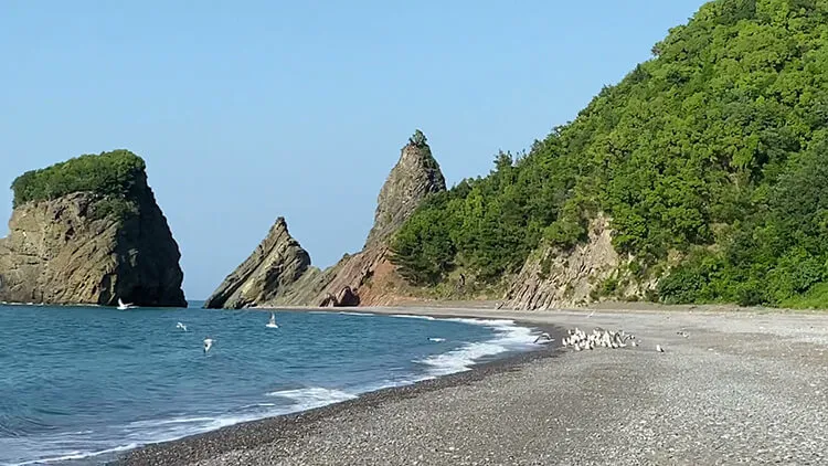 Aydos Plajı Kamp Alanı