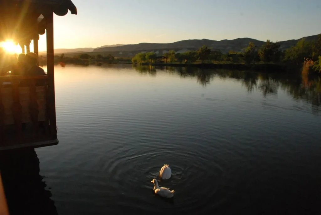 Beypazarı As Balıkçılık Kamp Alanı