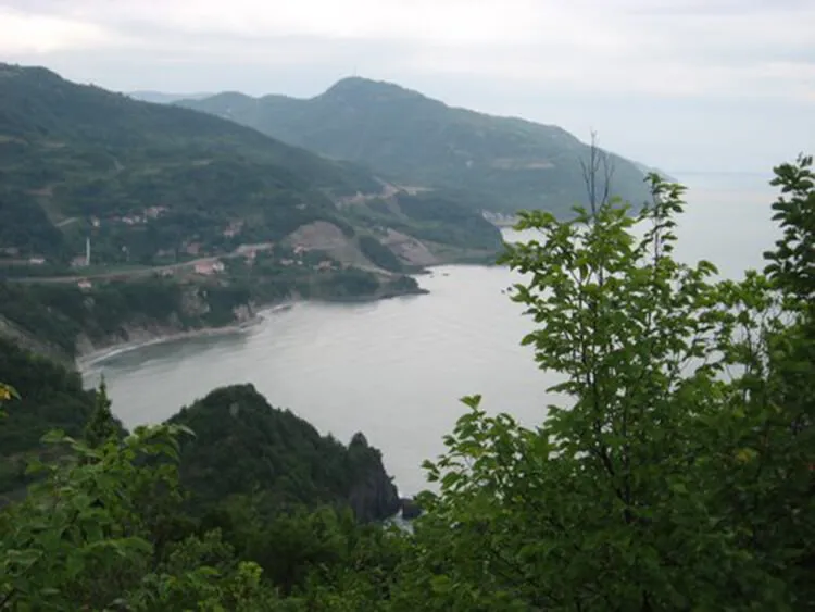 Çamaltı Köyü Plajı Kamp Alanı