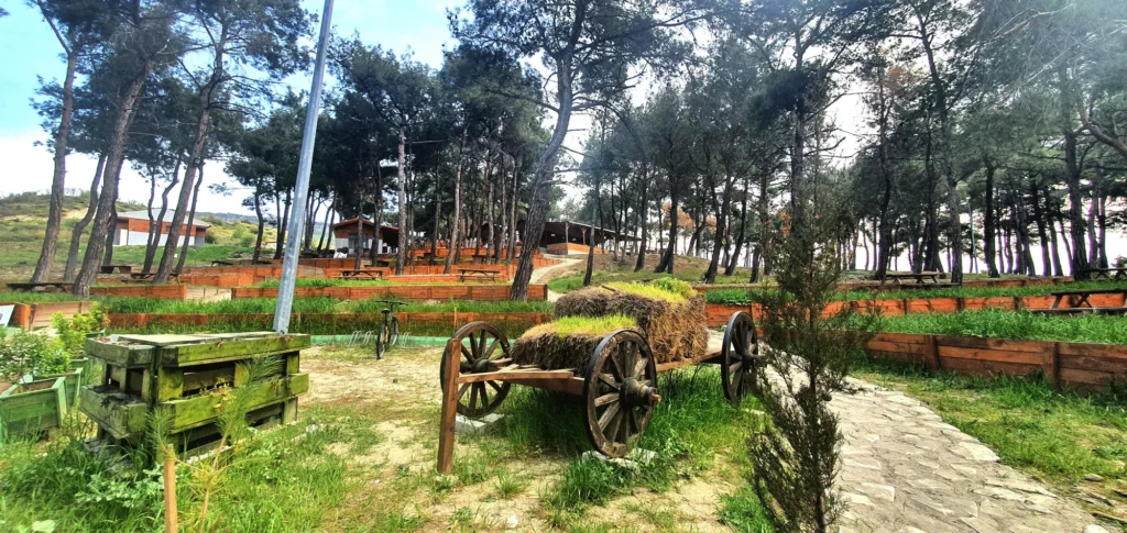 Çamlık Tabiat Parkı Kamp Alanı