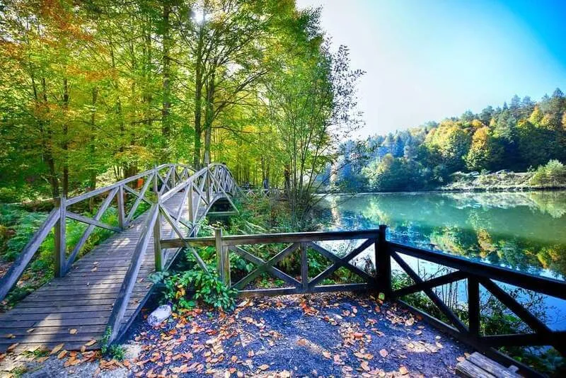 Çamlıpınar Göleti Kamp Alanı