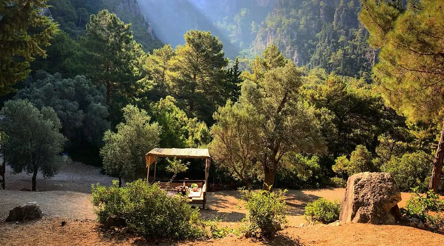 Cennet Koyu Kamp Alanı