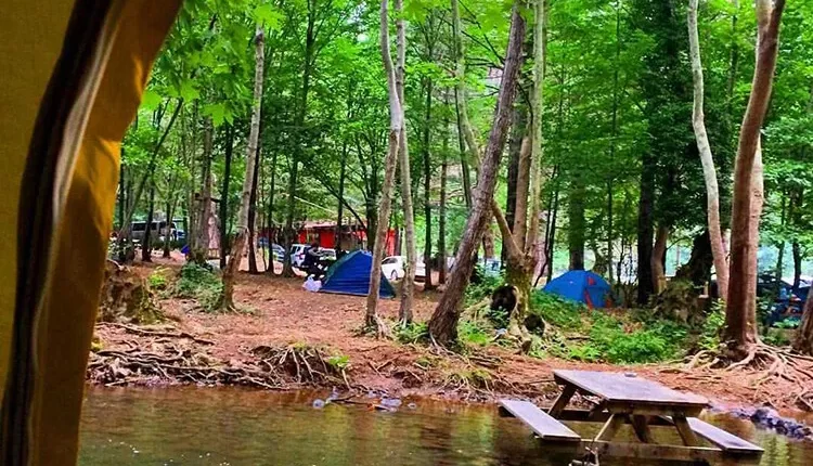 Çınarcık Kamp Alanları – Çınarcık Kamp Yapılacak Yerler