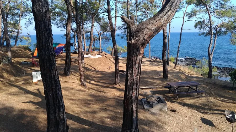 Dikilitaş Tabiat Parkı