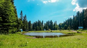 Düzce Kamp Alanları – Düzce Kamp Yapılacak Yerler