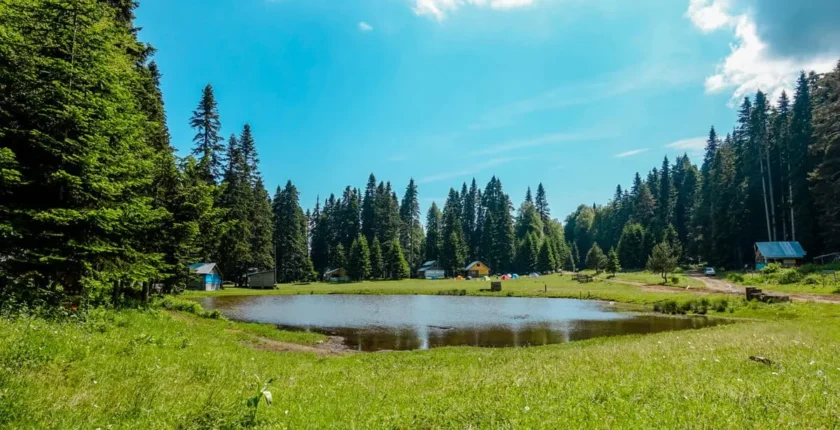 Düzce Kamp Alanları – Düzce Kamp Yapılacak Yerler