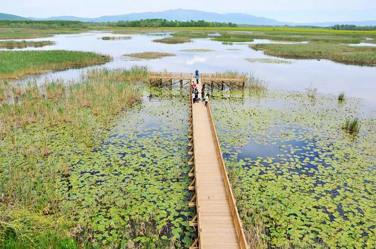 Efteni Gölü Kamp Alanı