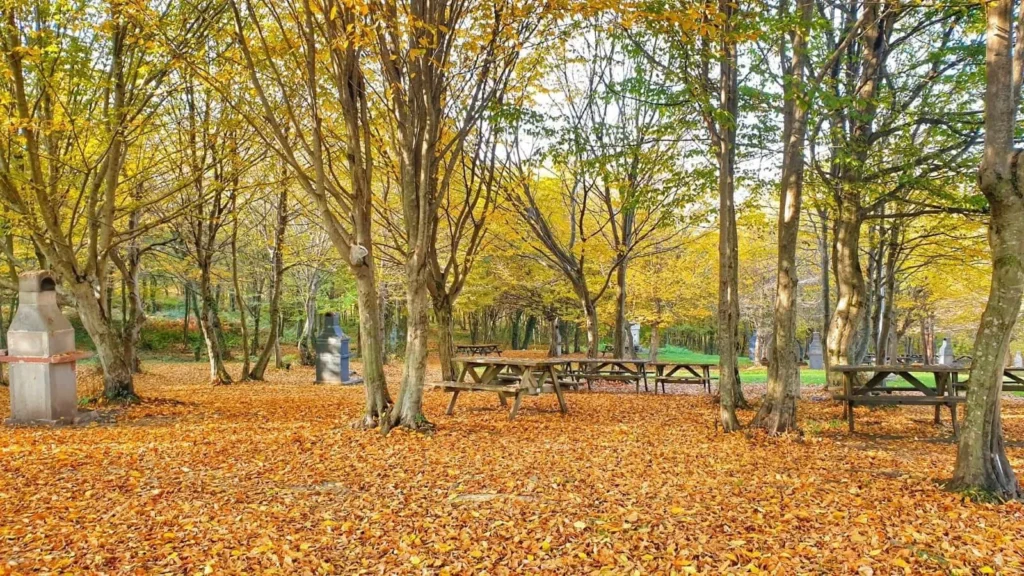 Gırgın Çayırı Piknik Ve Kamp Alanı