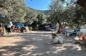 Gizli Bahçe Camping