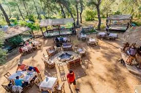 Jungle Bungalow Camping