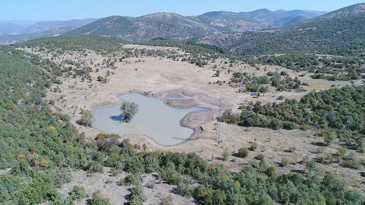 Kartaltepe Tabiat Parkı Kamp Alanı