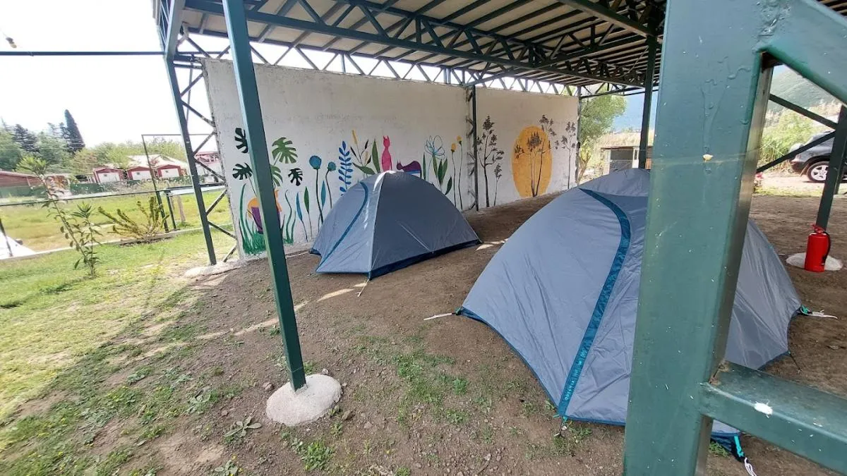 Kedi Camping