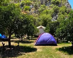 Lotus Camping Olimpos