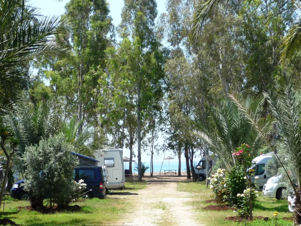 Mavi Kız Kamping