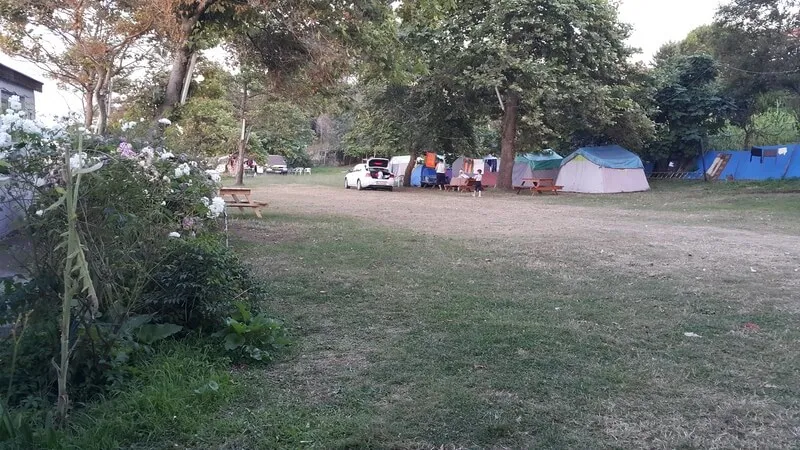 Sahil Kamping (Pala’nın Yeri)