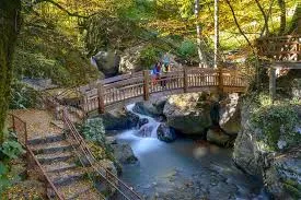 Samandere Şelalesi Kamp Alanı