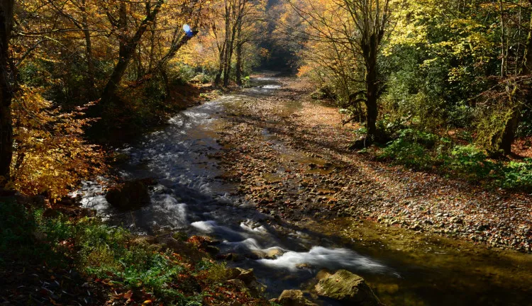 Şeker Kanyonu Kamp Alanı