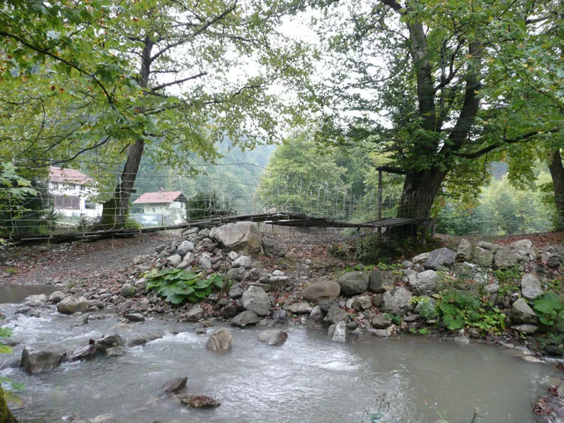 Şimşirlik Kamp Alanı (Nusret’in Yeri)