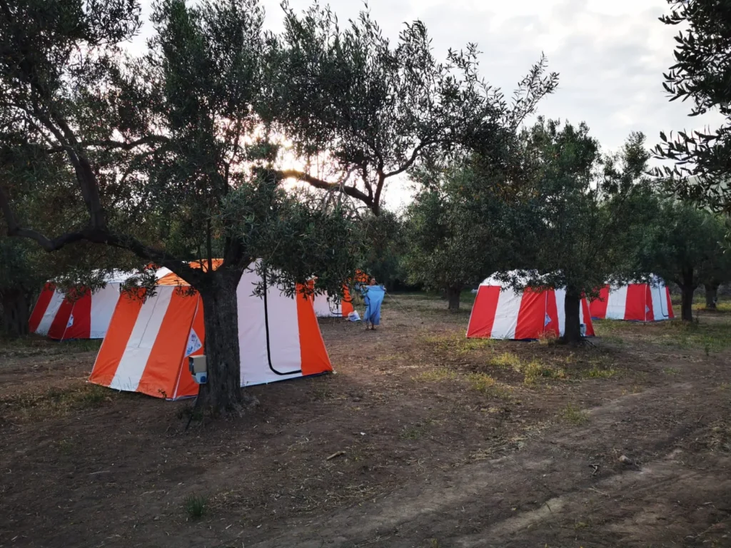 Sincap Kamp
