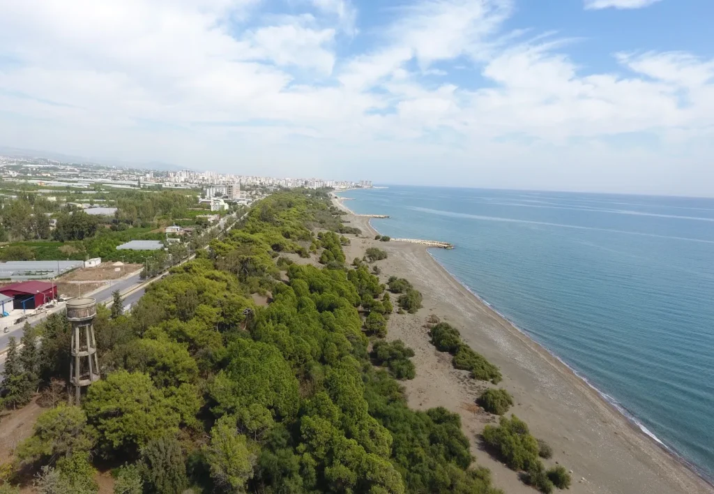 Talat Göktepe Tabiat Parkı Kamp Alanı