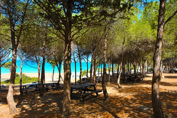 Tanay Tabiat Parkı