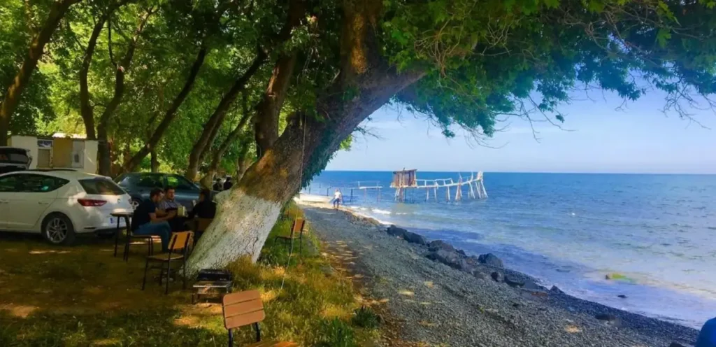 Uçmakdere Mocamp Çınar