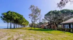 Ünye Kamp Alanları – Ünye Kamp Yapılacak Yerler