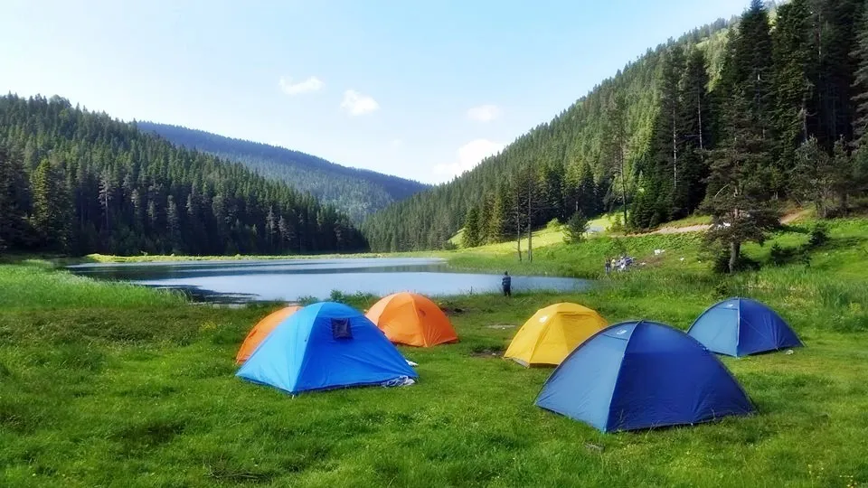 Yenice Kent Ormanı Kamp Alanı