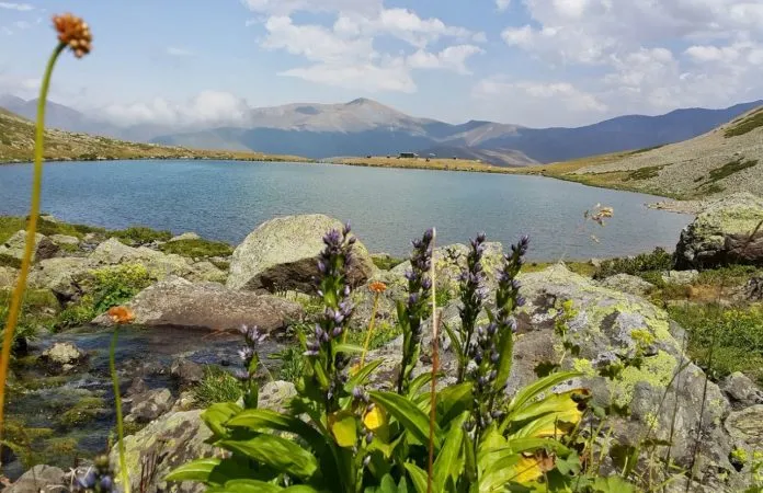 Adetli Köyü Kamp Alanı