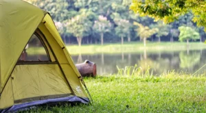 Ağrı Kamp Alanları – Ağrı Kamp Yapılacak Yerler