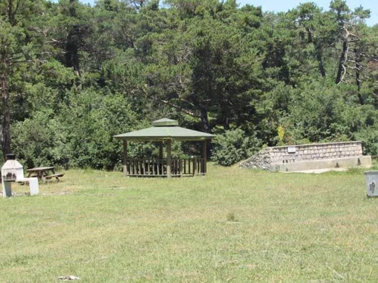 Akdağmadeni Ormanları Kamp Alanı