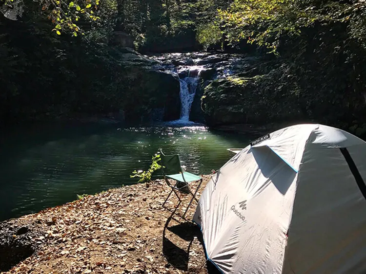 Alaplı Yaylası Kamp Alanı