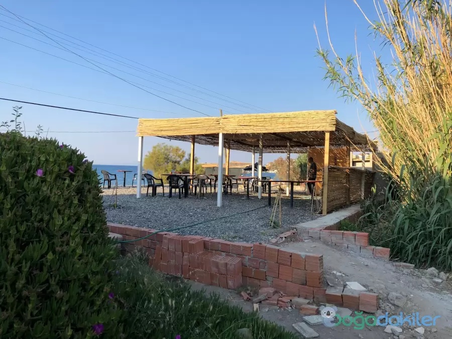 Almira Camping Cafe
