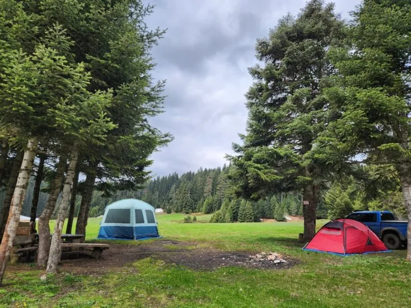 Altioluk Yaylasi Kamp Alani