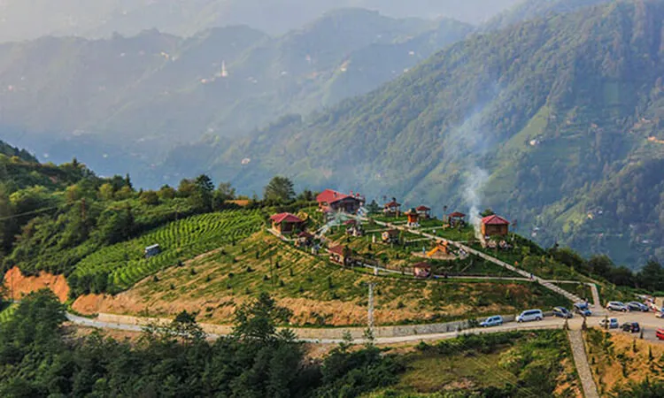 Arapdüzü Mesire Ve Kamp Alanı