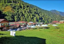 Ayder Yaylası Kamp Alanı