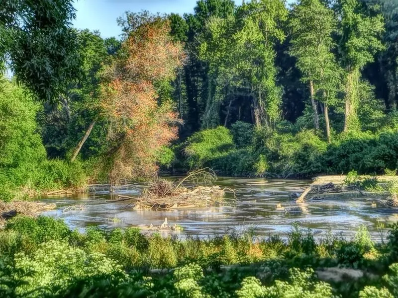 Aypoloz Golu Bulanik Deresi Kamp Alani