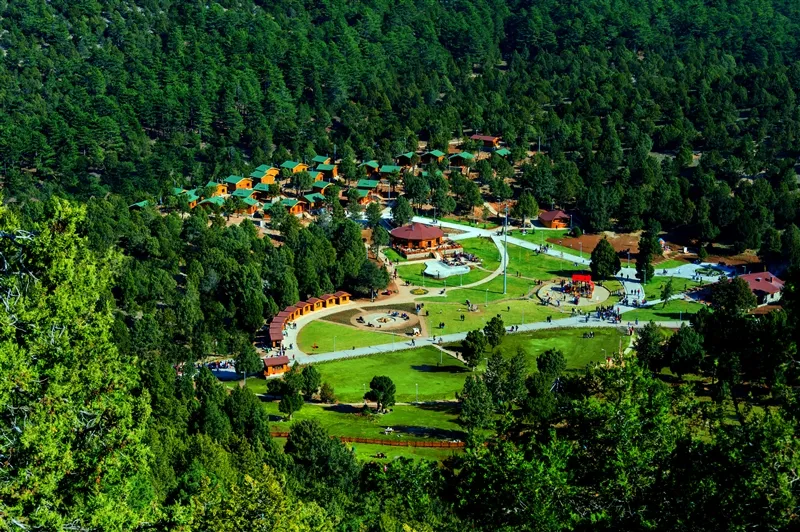 Bağbaşı Yaylası Bungalov Ve Çadır Kamp Alanı