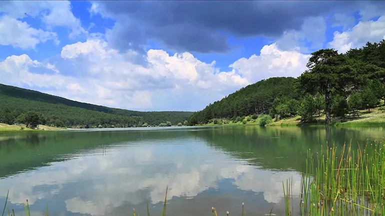 Baltalı Göleti Kamp Alanı