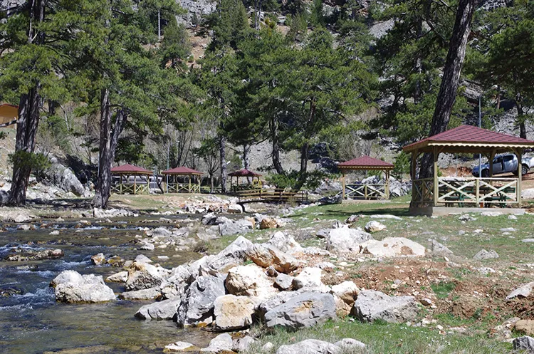 Başpınar Tabiat Parkı Kamp Alanı